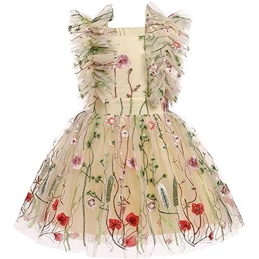 amazon infant dresses Amazon Best Sellers: Best Baby Girls' Special Occasion Dresses