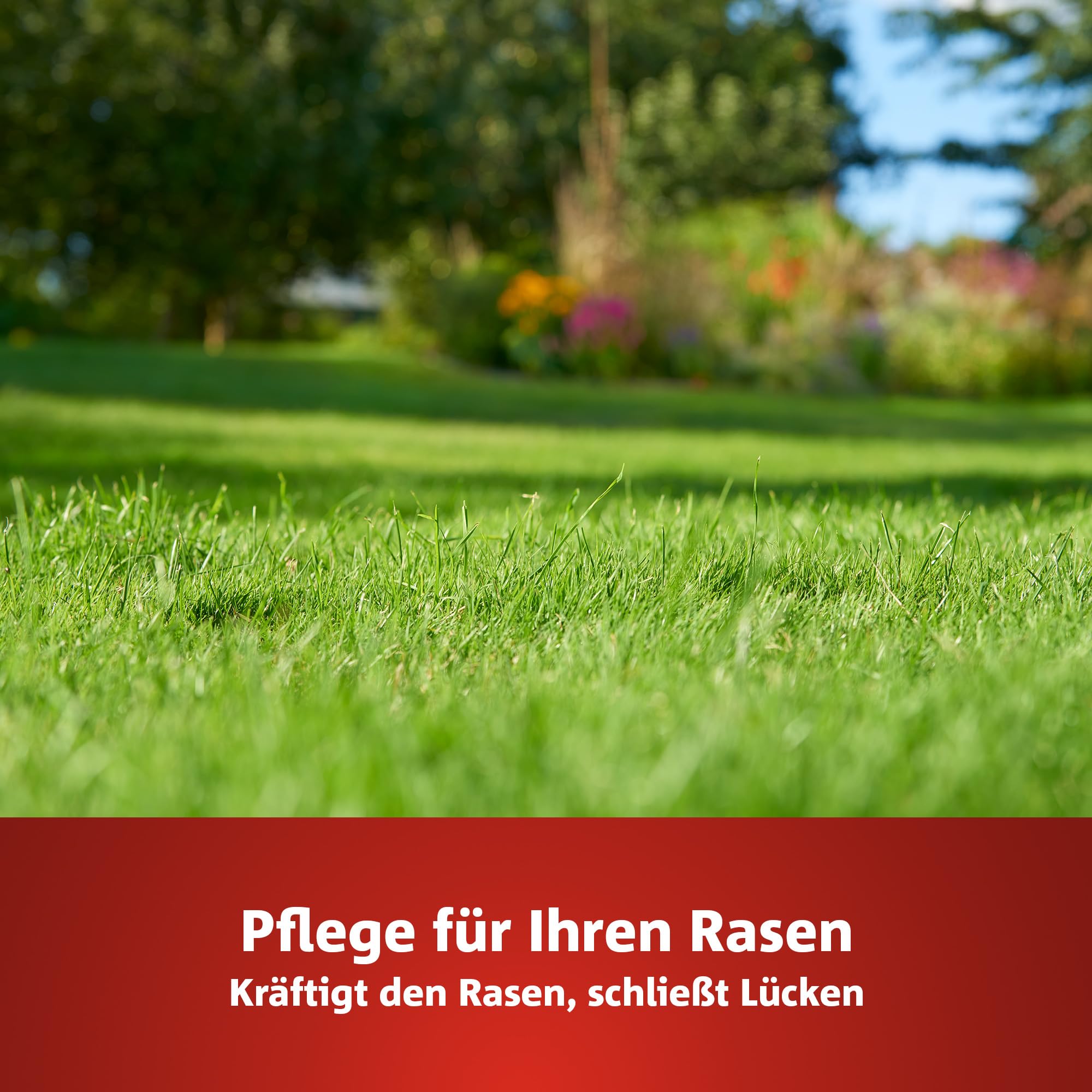WOLF-Garten 2-in-1: Unkrautvernichter + Rasendünger SQ 120 (Rasendünger und Unkrautvernichter, wirkt über Blätter und Wurzeln, Wirkung bis zu 100 Tagen, ausreichend bis 120 m2) 3840720 4