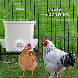 Automatic Chicken Feeder Set Hanging Chicken Feeder