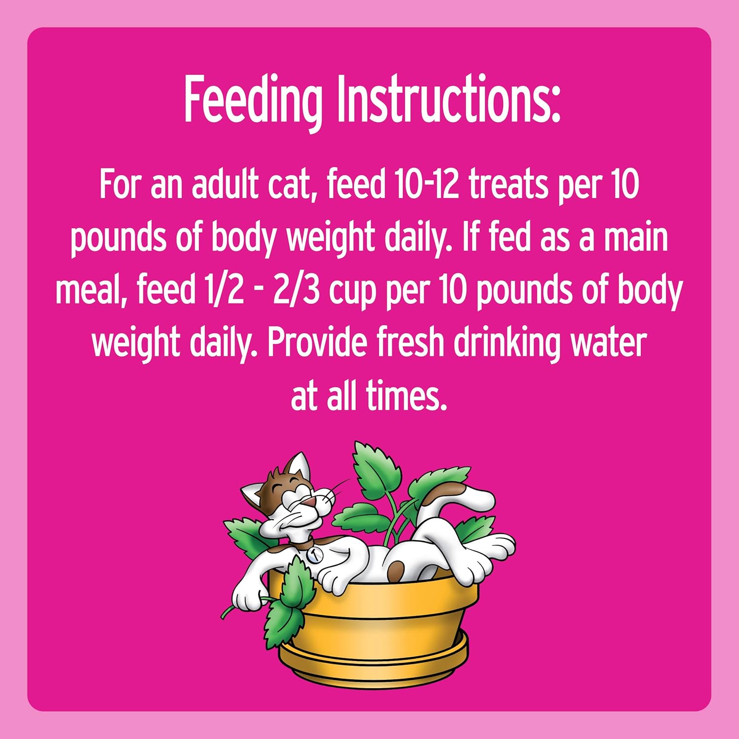 TEMPTATIONS Classic Crunchy and Soft Cat Treats Blissful Catnip Flavor, 16 Oz. Tub : Pet Supplies