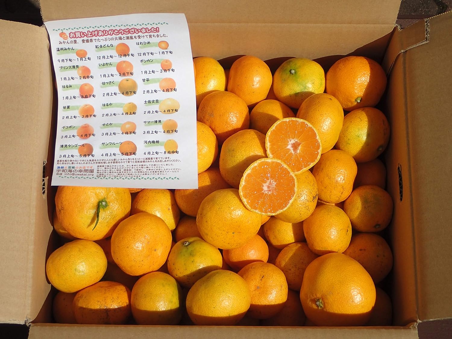 Amazon 愛媛宇和島吉田産 訳あり みかん 10kg 農地から直送 宇和海の幸問屋 宇和海の幸問屋 みかん 柑橘類 通販