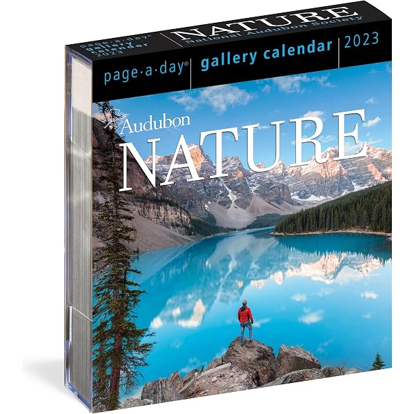 Art Page-A-Day Gallery Calendar 2023: The Next Best Thing to Exploring Your  Favorite Museum: Workman Calendars: 9781523516681: Amazon.com: Books