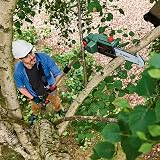 Bosch UniversalChainPole 18 Cordless Pruner 18V with 2.5Ah Battery and Charger view 8