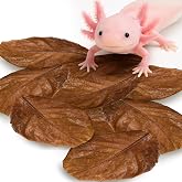 SunGrow 10 Pack Axolotl Indian Almond Leaves for Aquarium, 5-Inches, Catappa Leaf Soothes Pet&rsquo;s Slime Skin, Aquarium Water Conditioner Leaves Improves Tank Water Quality, Speeds Up Recovery Process