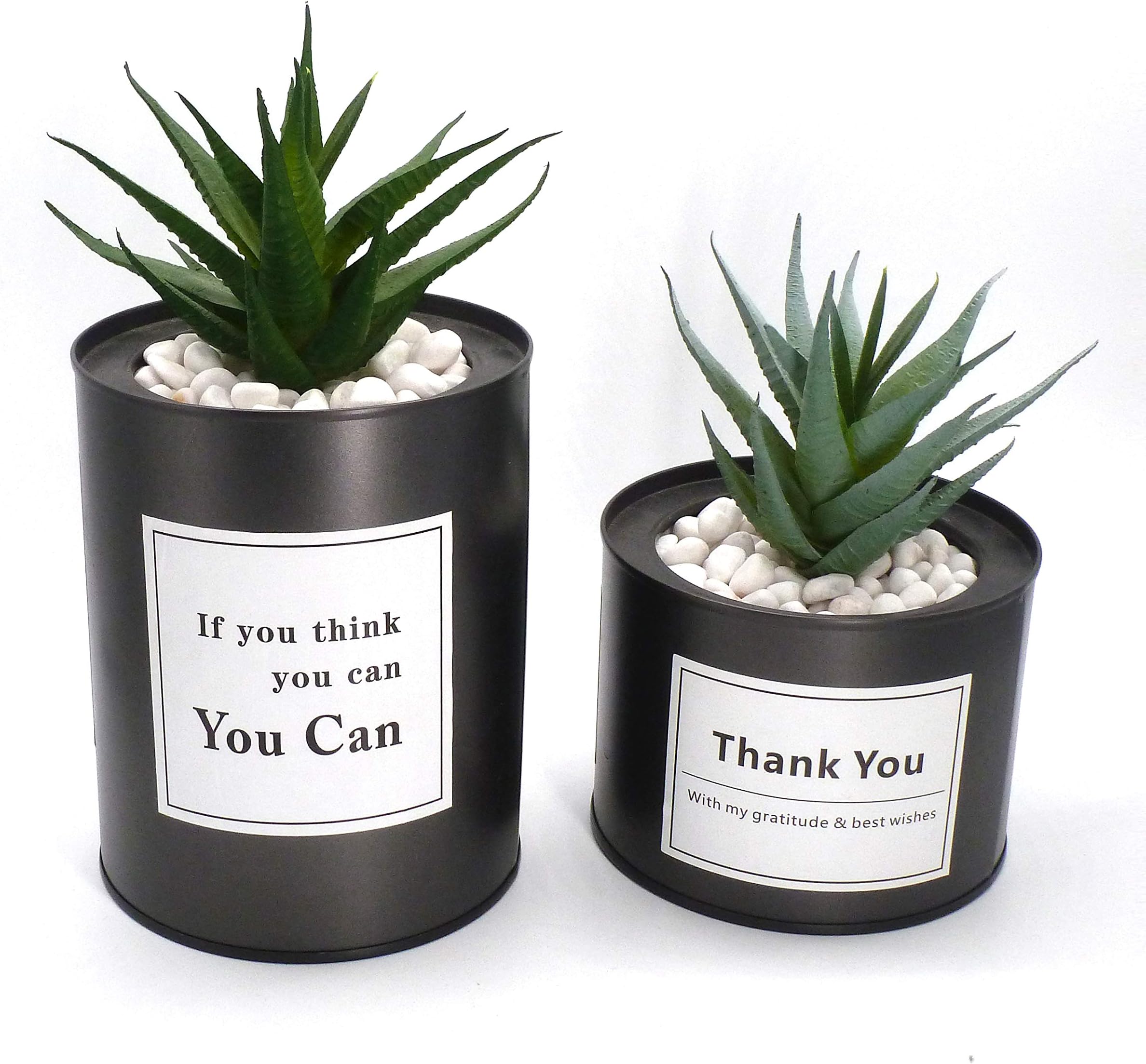 Artificial Plants Potted Small Fake Succulents Plant in Pot for Home Office Decor— Set of 2 (Black)