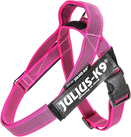 measure julius k9 harness