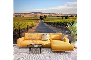 Peel & Stick Wallpaper Vineyard Bike Trail Sunset Livermore Wine Country California Removable Waterproof Wall Mural Large Vin