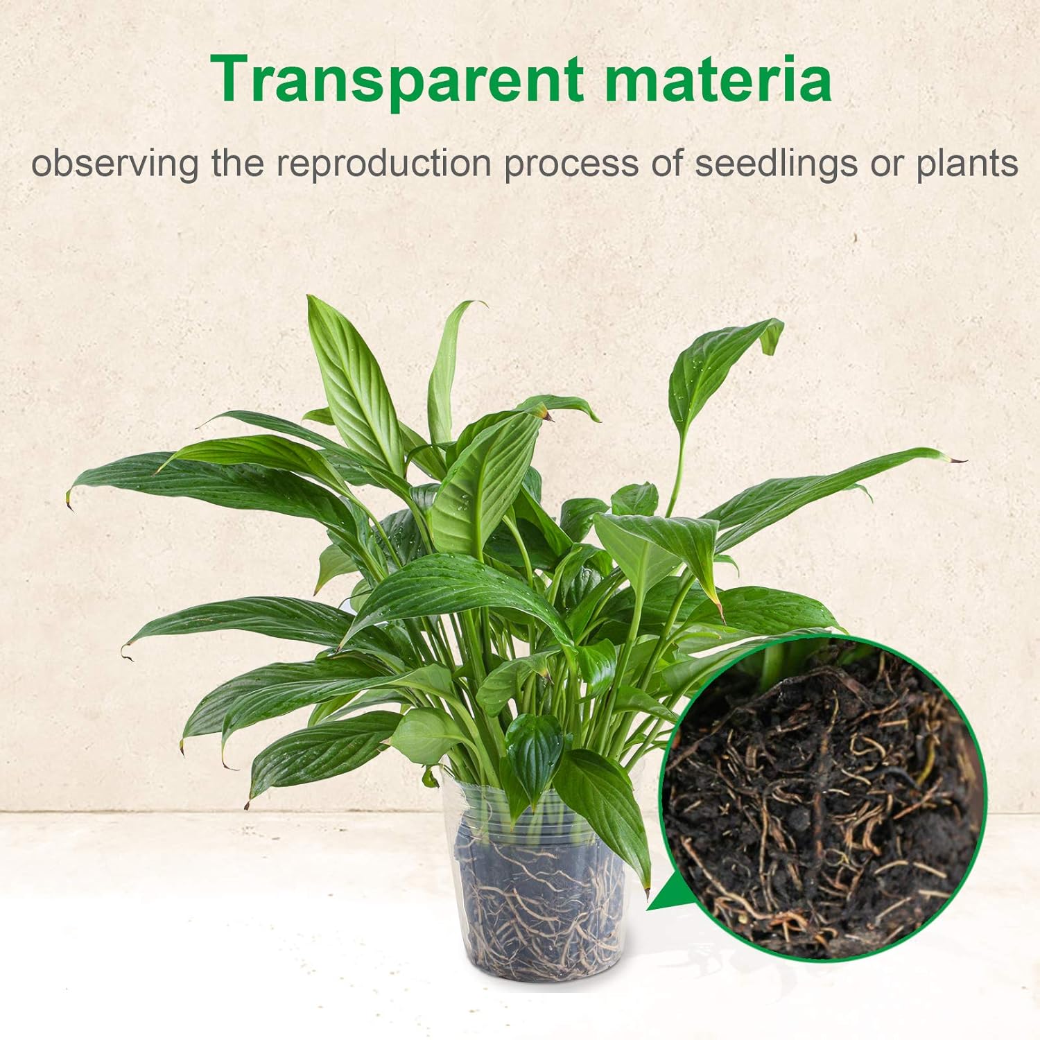 Plant Nursery Pots 6/4/3 Inch 20pcs Labels, Transparent Plastic Planter with Drainage Hole for Indoor Succulent herb Planter ,Seed Starting Pot Flower Plant Container for Seedlings, Cuttings 36 Packs: Kitchen & Dining