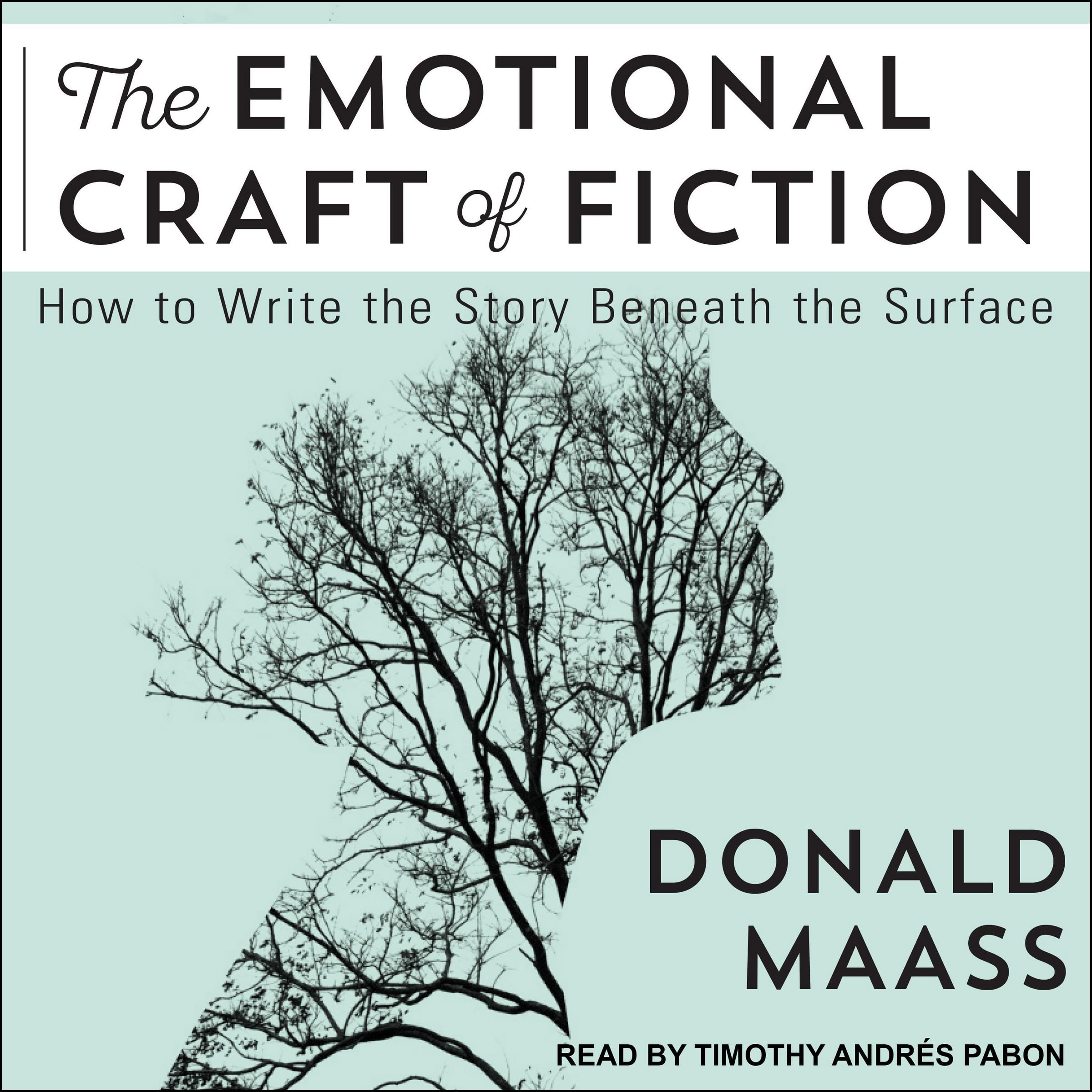 The Emotional Craft of Fiction: How to Write the Story Beneath the Surface Image