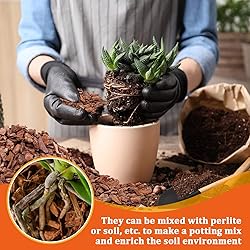 Legigo 10 Quarts Organic Orchid Potting Bark- All