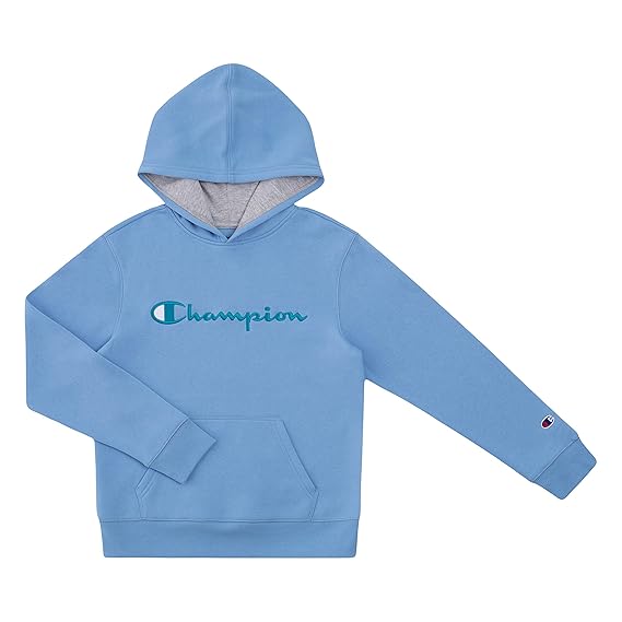 champion swiss blue hoodie