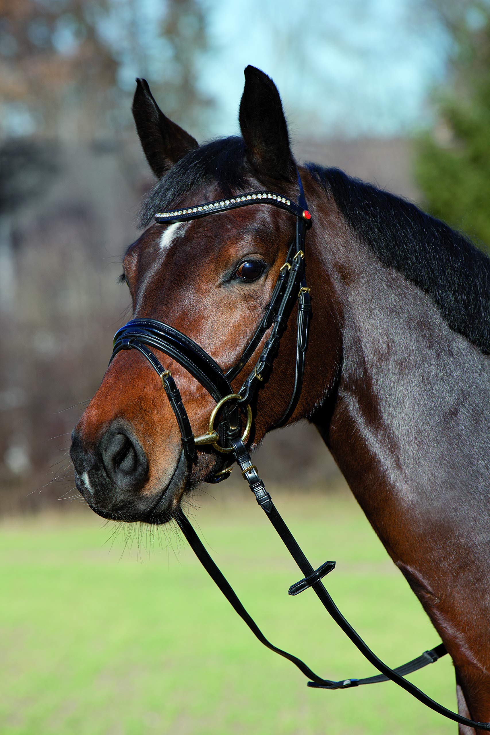 KIEFFER Snaffle bridle COMFORT YOUNG PROFI