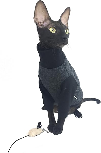 Kotomoda Vetement Pour Chat Col Roule Winter Boss Xs Amazon Fr Animalerie