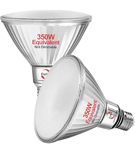Ecolux Pro PAR38 LED電球 6500Kを113個まとめて