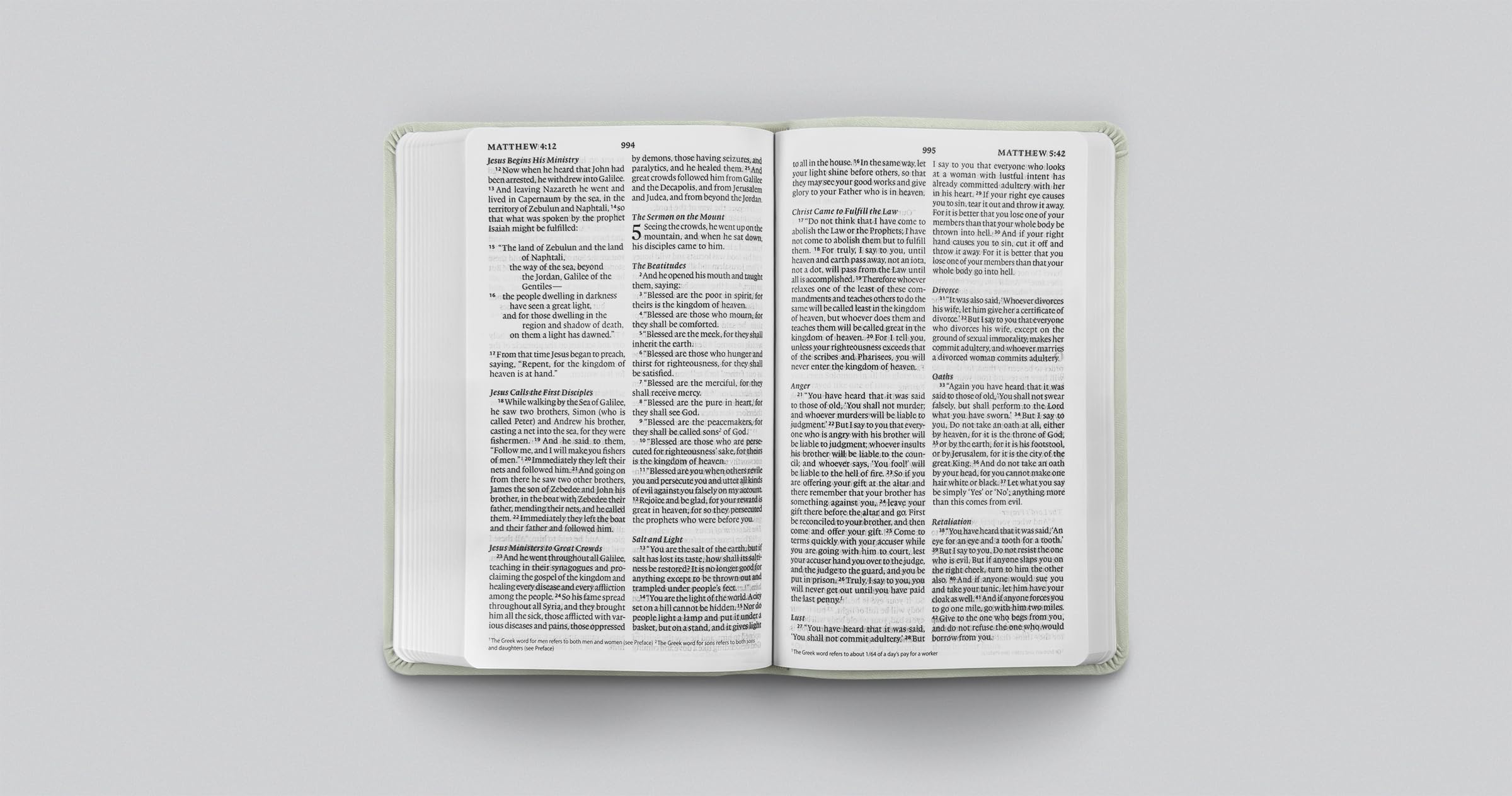 ESV Large Print Value Thinline Bible (TruTone, River Stone, Branch Design): Holy Bible, English Standard Version