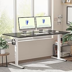 FLEXISPOT EN1 One Piece Standing Desk, 55 x 28 Inch