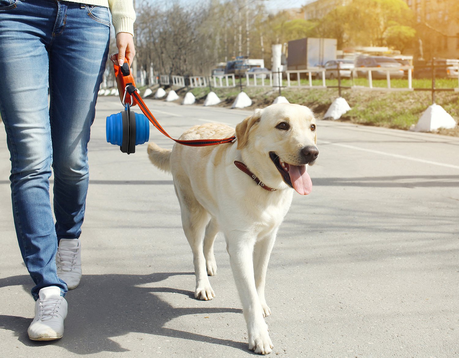 Mindfull Products Collapsible Double Pet Bowl Set, Includes Carabiner Clip, Blue