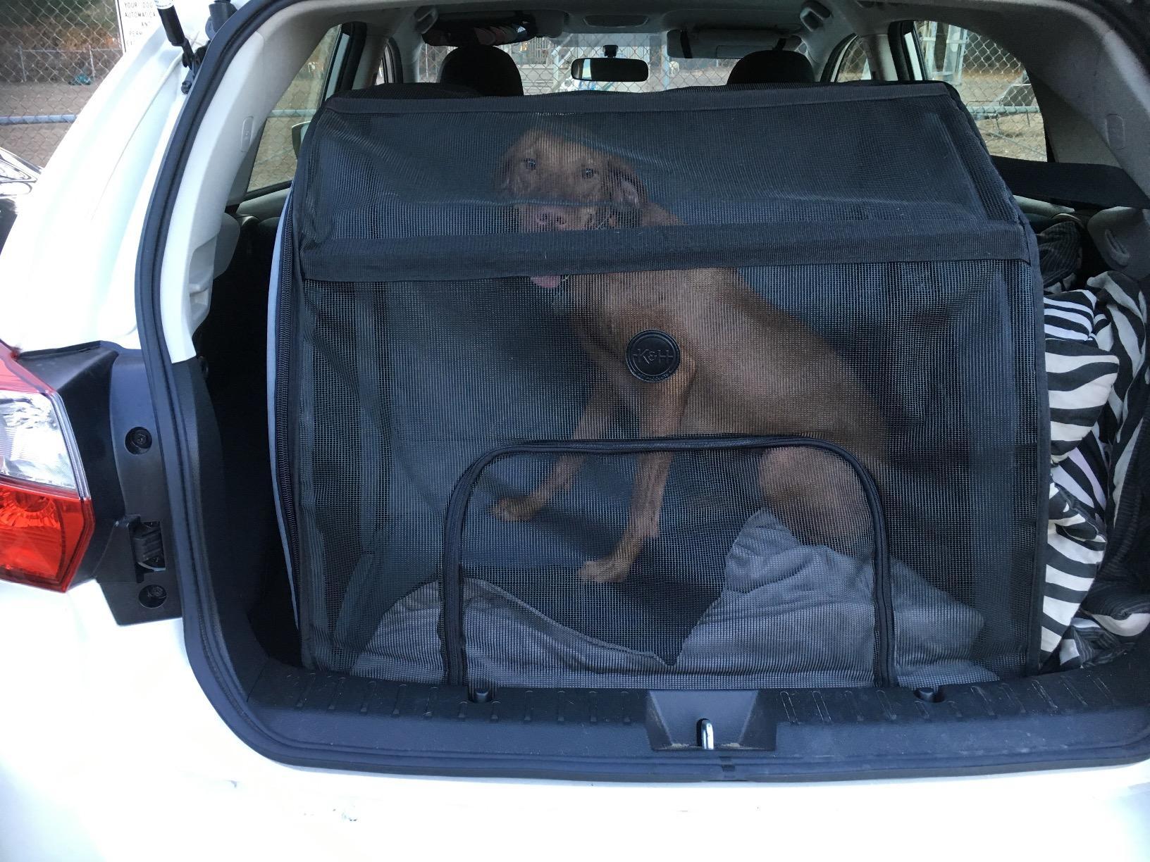 K&H Pet Products Travel Safety Pet Carrier Medium Gray 24" x 19" x 17