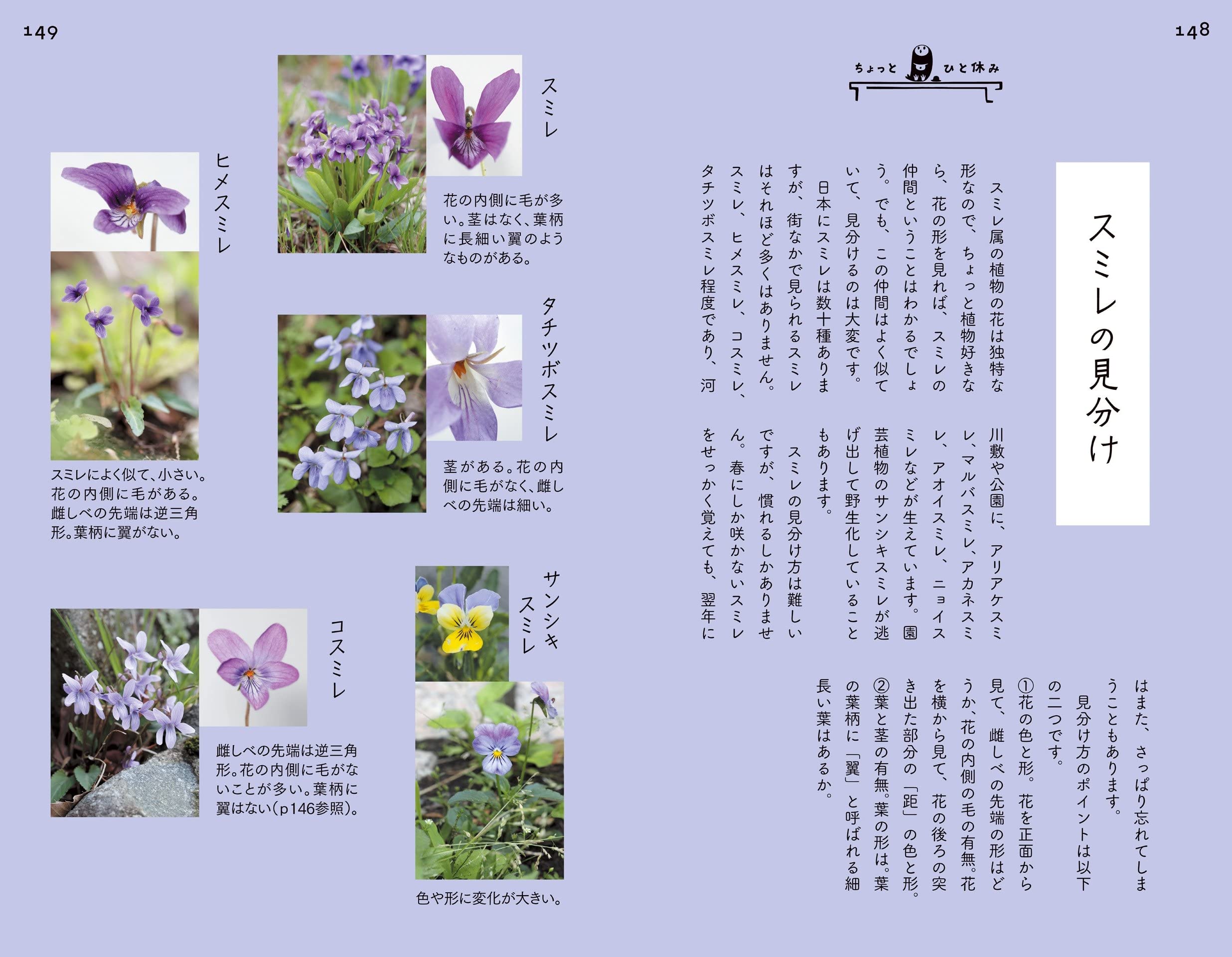 散歩道の図鑑 あした出会える雑草の花100 髙橋 修 本 通販 Amazon