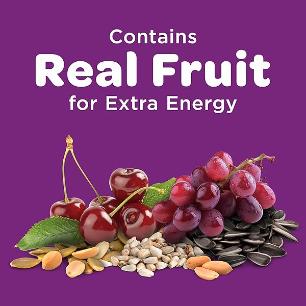 KAYTEE NUT & FRUIT WILD BIRD SEED, 5 LB