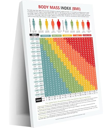 Amazon.com : EMI BMI Body Mass Index Wheel Calculator 4.25 inch