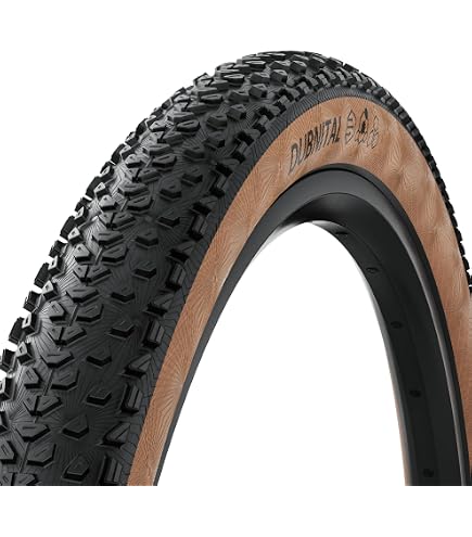 Amazon.com : Schwalbe Rick XC PRO MTB Bike tire – 29 inches