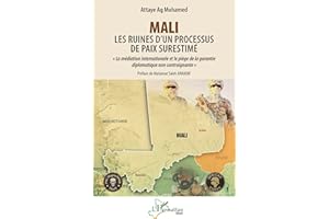 Mali - Les ruines d’un processus de paix surestimé: « La médiation internationale et le piège de la garantie diplomatique non