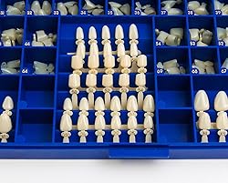 Polycarbonate Temporary Dental Crowns Kit 180 pcs