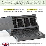 Cedar 4-Chamber Bat House - Premium Design for Your Yard view 2