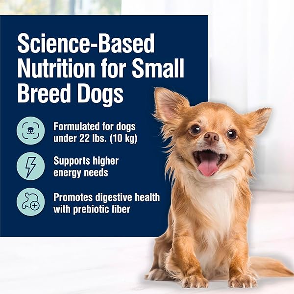 BLUE BUFFALO TRUE SOLUTIONS SMALL BREED CARE NATURAL DRY DOG FOOD FOR ADULT SMALL BREED DOGS, CHICKEN, 4-LB. BAG
