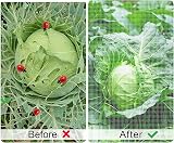 OAHAO Fine Mesh Insect Netting 0.8mm 3x4m Garden Netting for Plants Birds view 5