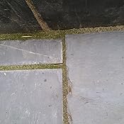 Jointing Compound Stone Grey Easy Joint 12.5 Kilo Patio Mortar: Amazon