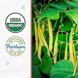 Back to the Roots 100% Organic Seed Packet - Bean