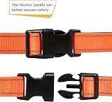 HEELE Reflective Dog Collar Adjustable XS Orange 20-30cm Neoprene Pad view 4