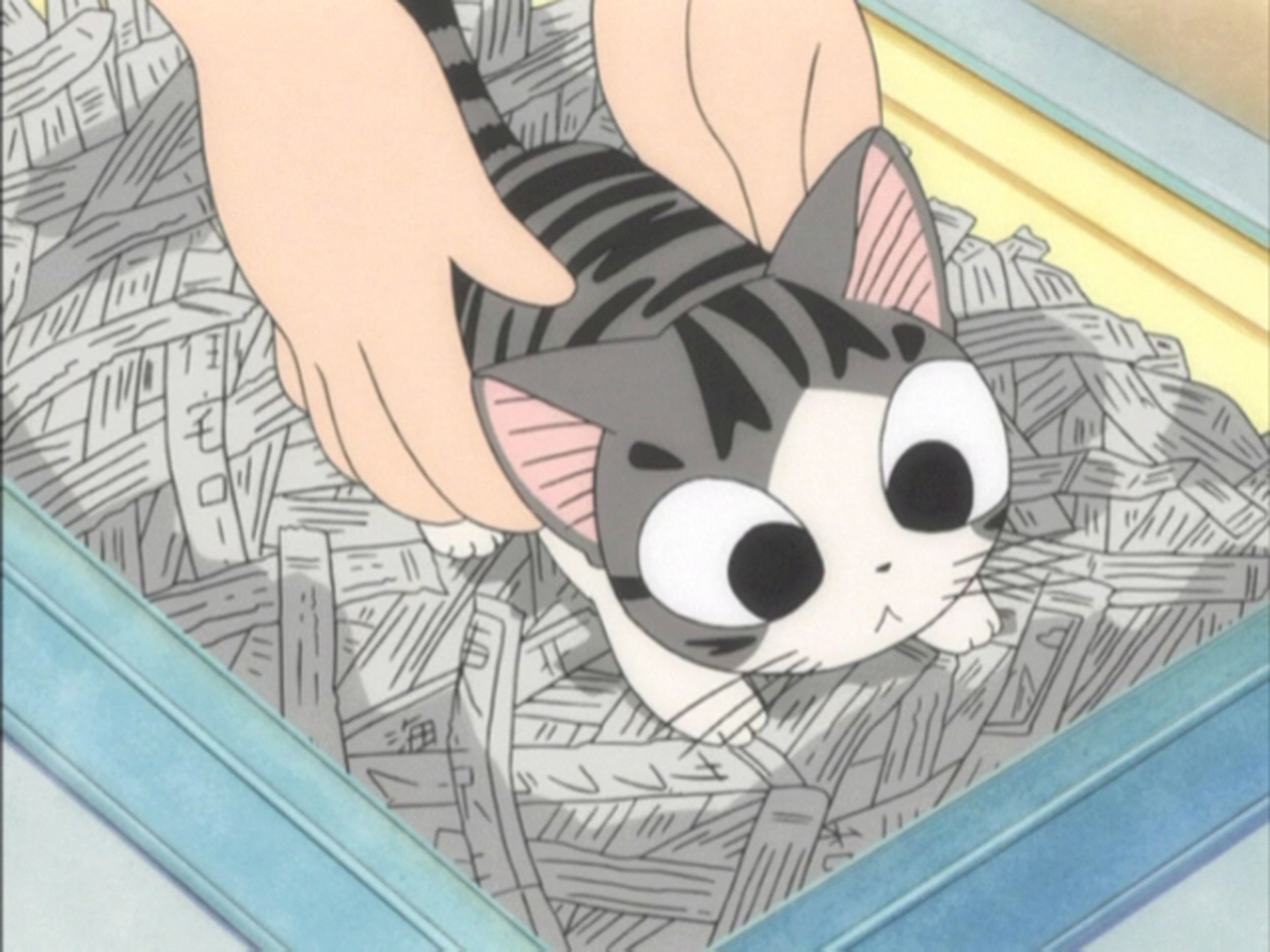 Amazon Co Jp チーズスイートホームを観る Prime Video