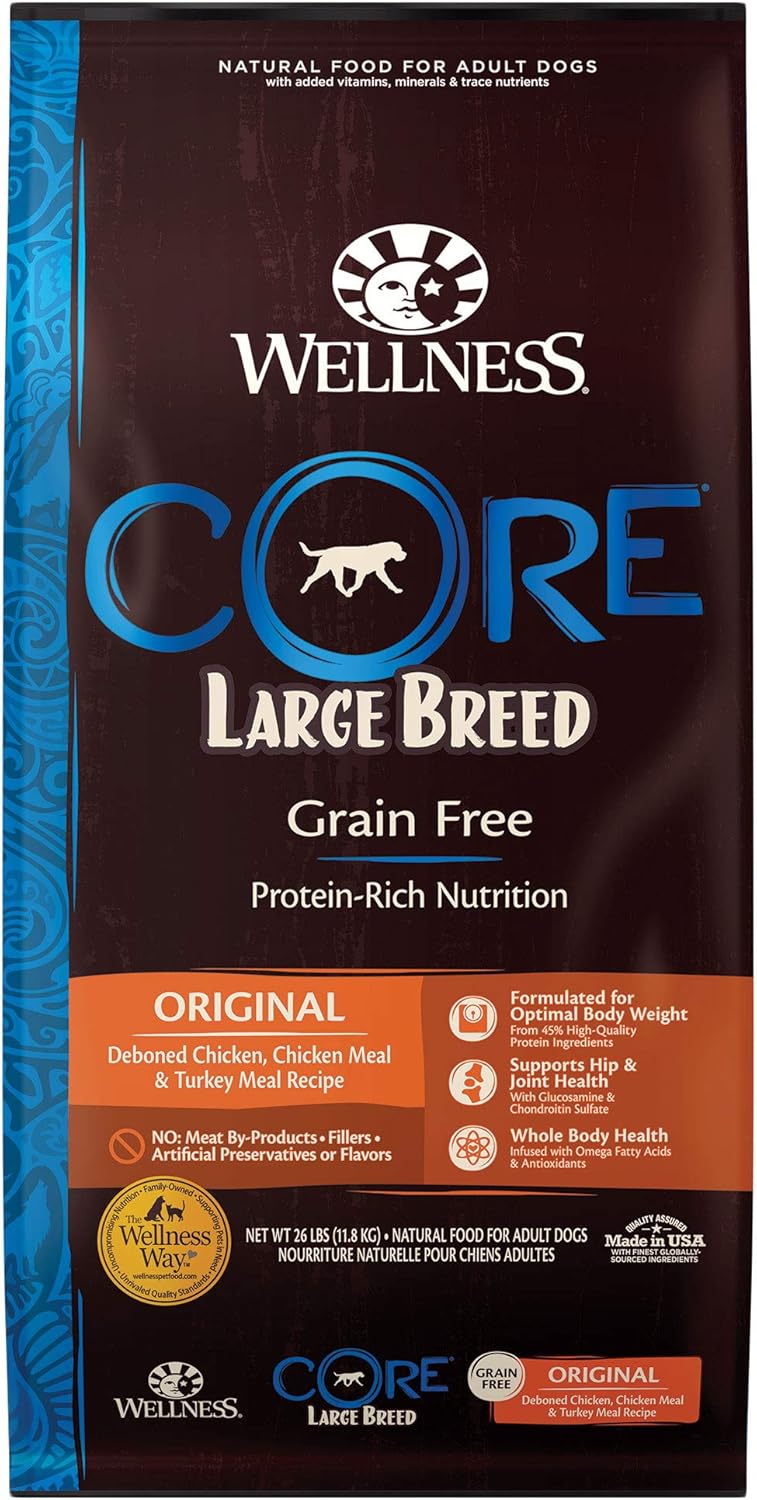 Best Dog Food for Labs (2024)