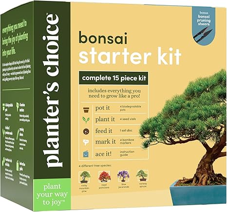Bonsai Starter Kit - The Complete Growing Kit to Easily Grow 4 Bonsai Trees from Seed + Comprehensive Guide & Bamboo Plant Markers - Unusual Gardening Gifts Ideas for Women - Indoor Bonzai