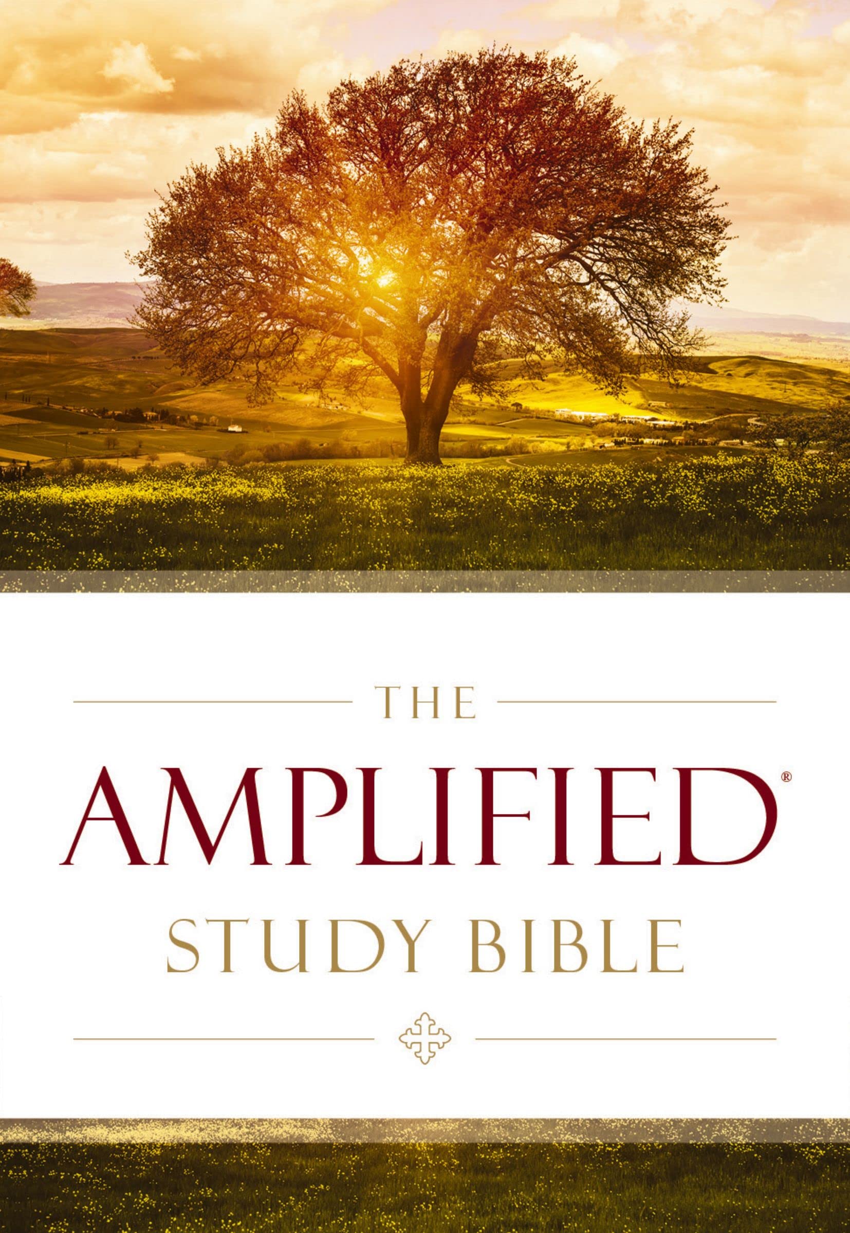 The Amplified Study Bible The Amplified Study Bible Hardcover Kindle