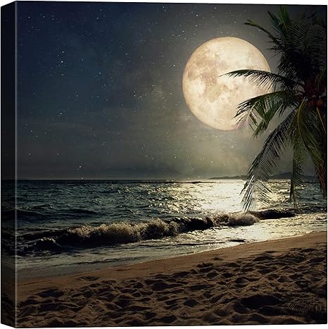 Amazon Com Signwin Canvas Wall Art Moon Illuminating The Blue Ocean Canvas Prints Home Artwork Decoration For Living Room Bedroom 12x12 Inches Posters Prints