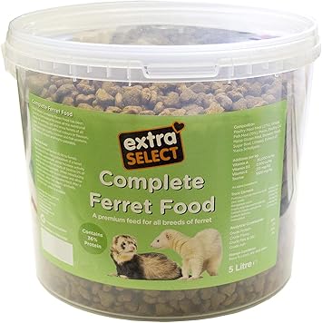 dry ferret food