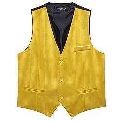 Barry.Wang Mens Yellow Vest Striped Formal/Leisure
