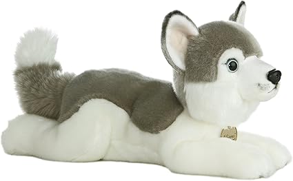 husky teddy amazon