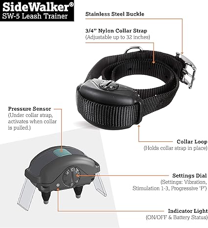 sidewalker leash trainer