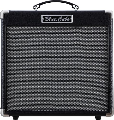 Roland Guitar Combo Amplifier, 49 Keys (BC-HOT)