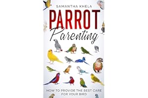 Parrot Parenting: How to Provide the Best Care for Your Bird