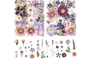 nisetten 80PCS Natural Color Pressed Dried Flowers Dry Leaves with Tweezers - Real Pressed Flowers for DIY Crafts, Resin Jewelry, Cards, Soap, CandleMaking, Nail Art, and Scrapbooking (Natural Color)