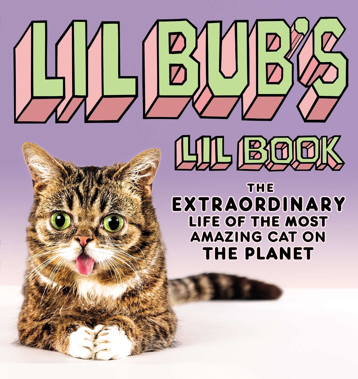 lil bub cat litter