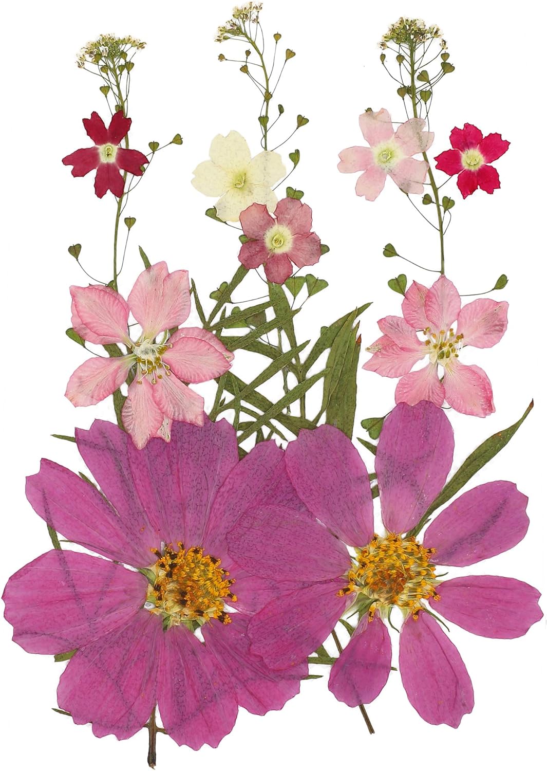 Craft Supplies Dried Flower For Resin Acrsikr Natural Dried Pressed Flower And Leaves Arts Crafts Sewing