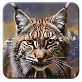 3D LiveLife Cork Coaster - Bobcat from Deluxebase. Lenticular 3D Bobcat Drink & Mug Coasters. Fun Animal Gifts for Women and Men. Novelty Kitchen and Decorative Home Accessories.
