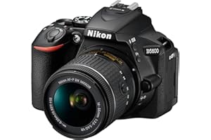 D5600 DX-Format Digital SLR w/AF-P DX NIKKOR 18-55mm f/3.5-5.6G VR